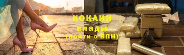 молекула духа Кулебаки