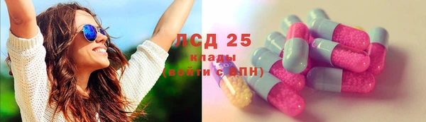 молекула духа Кулебаки