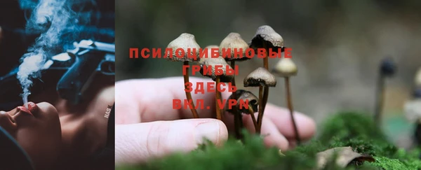 экстази Кукмор