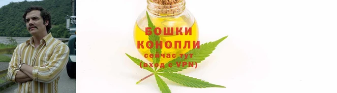 крисы Лабытнанги