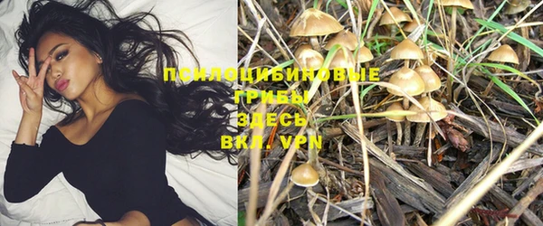 молекула духа Кулебаки