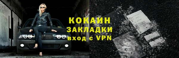 молекула духа Кулебаки