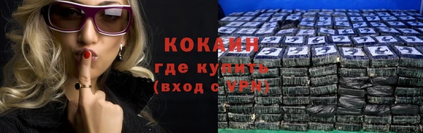молекула духа Кулебаки
